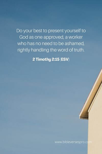 2 Timothy 2_15 (Esv)