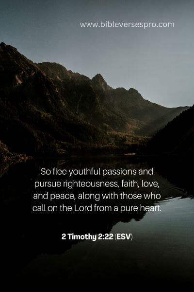 2 Timothy 2_22 (ESV)