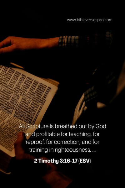 2 Timothy 3_16-17 (Esv)