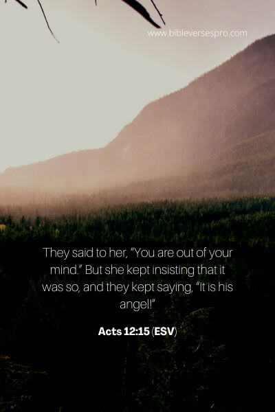 Acts 12_15 (Esv)
