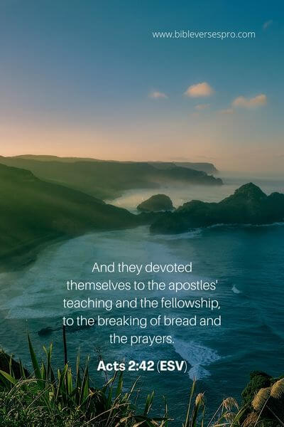 Acts 2:42 (Esv) (1)