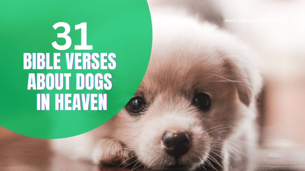 31 Best Bible Verses About Dogs In Heaven Bible Verses