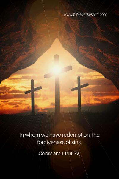 Colossians 1_14 (ESV)