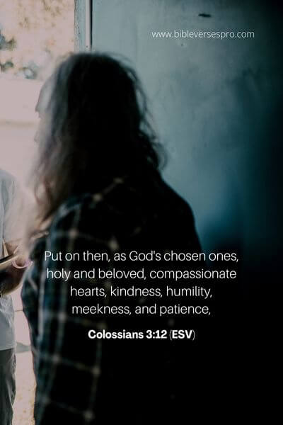 Colossians 3_12 (Esv)