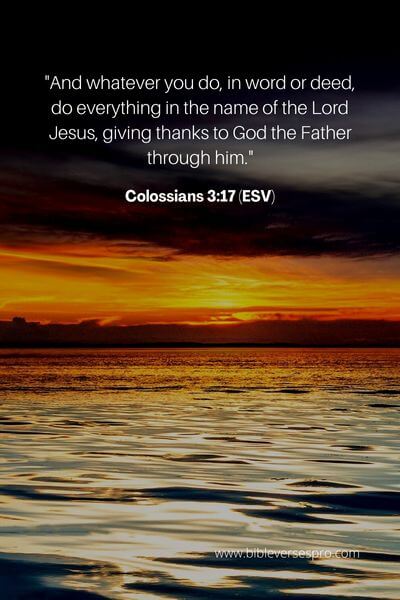 Colossians 3_17 (Esv)