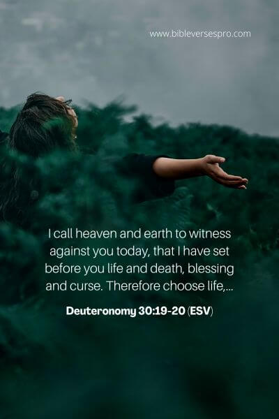 Deuteronomy 30_19-20 (Esv)