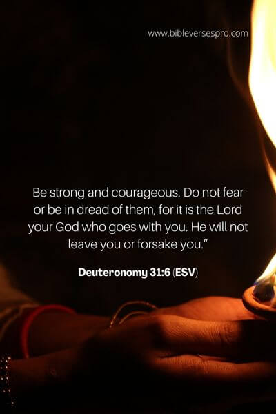 Deuteronomy 31_6 (Esv)