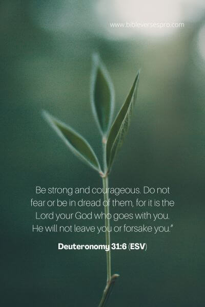 Deuteronomy 31_6 (Esv)