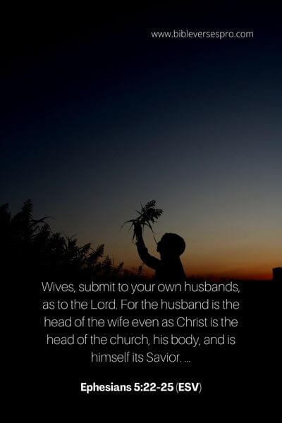 Ephesians 5_22-25 (Esv)