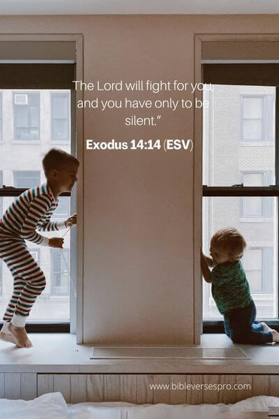 Exodus 14_14 (Esv)
