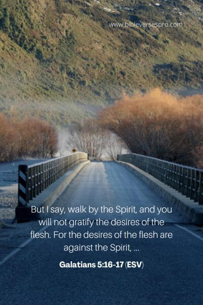 Galatians 5_16-17 (Esv)
