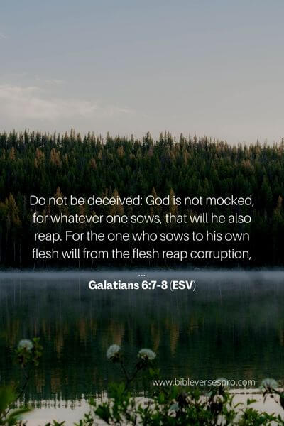 Galatians 6_7-8 (Esv)