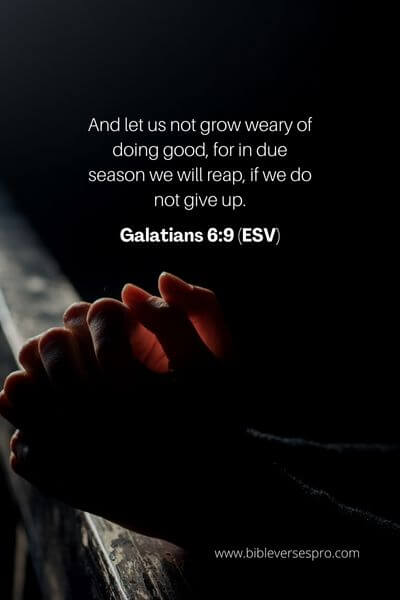 Galatians 6_9 (Esv) (2)
