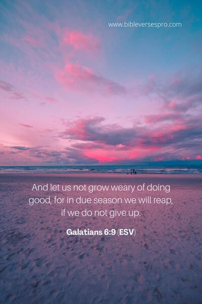 Galatians 6_9 (Esv) 