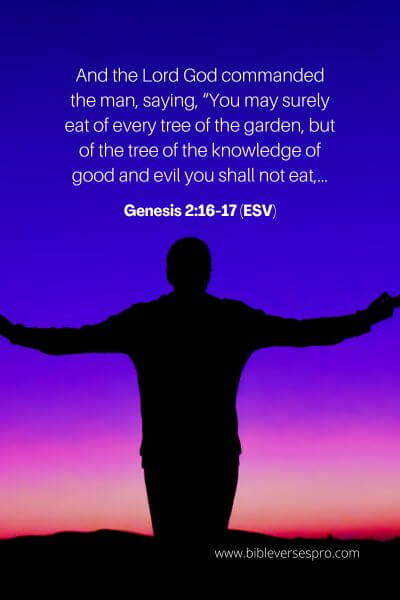 Genesis 2_16-17 (Esv)