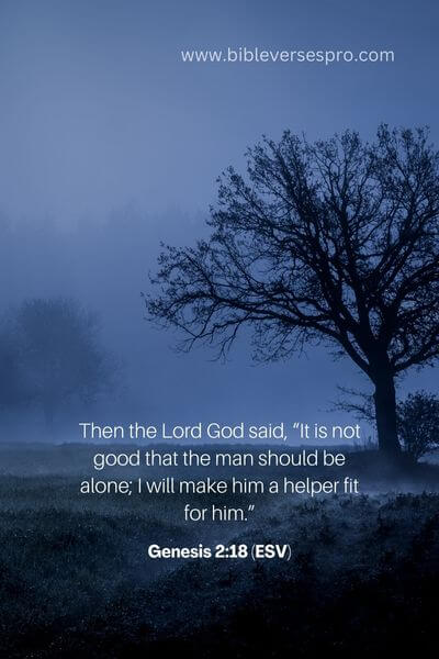 Genesis 2_18 (ESV) 