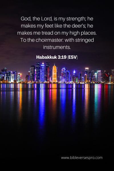 Habakkuk 3_19 (ESV)
