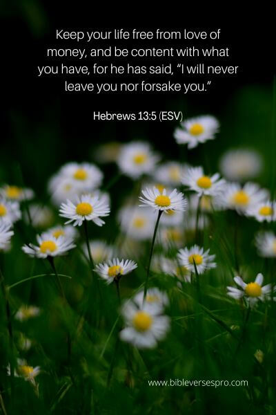 Hebrews 13_5 (Esv)