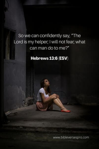 Hebrews 13_6 (Esv)