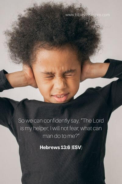 Hebrews 13_6 (Esv)