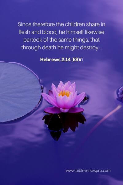Hebrews 2_14 (Esv)
