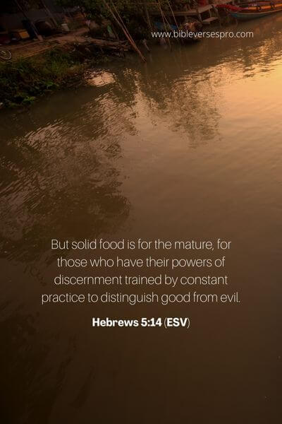 Hebrews 5_14 (Esv)