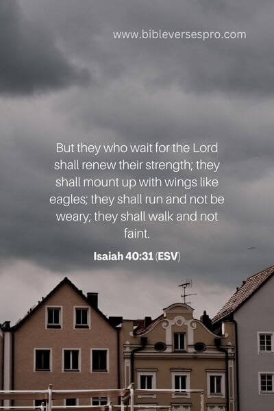 Isaiah 40_31 (Esv) 