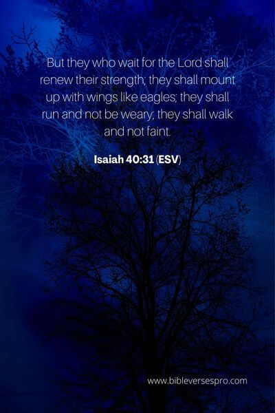 Isaiah 40_31 (Esv)3_22-23 (Esv)