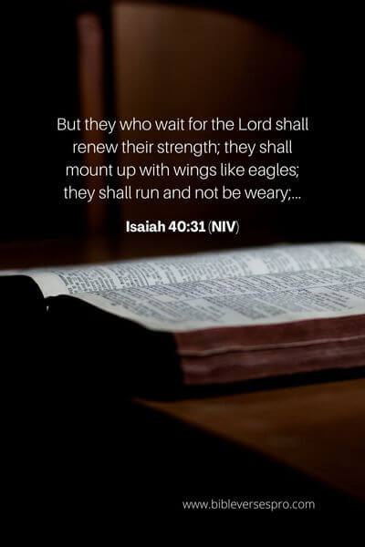 Isaiah 40_31 (NIV)