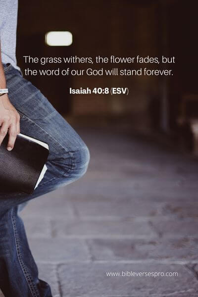 Isaiah 40_8 (Esv)