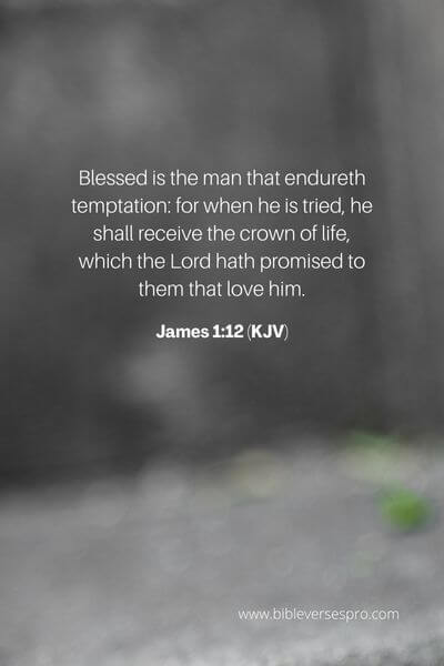 James 1_12 (Kjv)