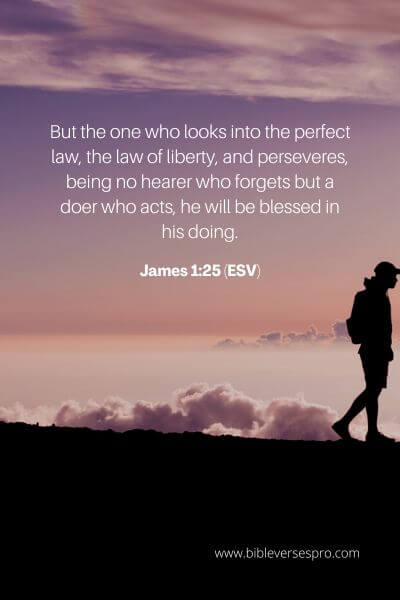 James 1_25 (Esv)