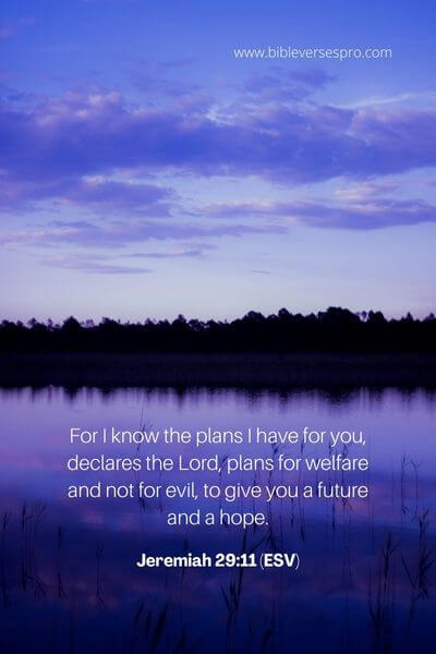 Jeremiah 29_11 (Esv) (1)