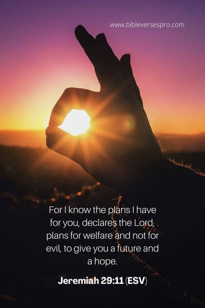 Jeremiah 29_11 (Esv) (1)
