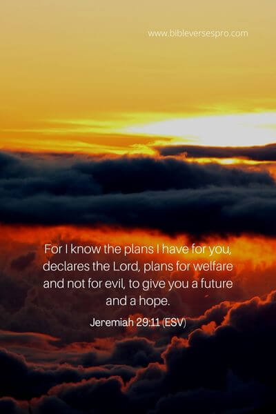 Jeremiah 29_11 (Esv) (1)