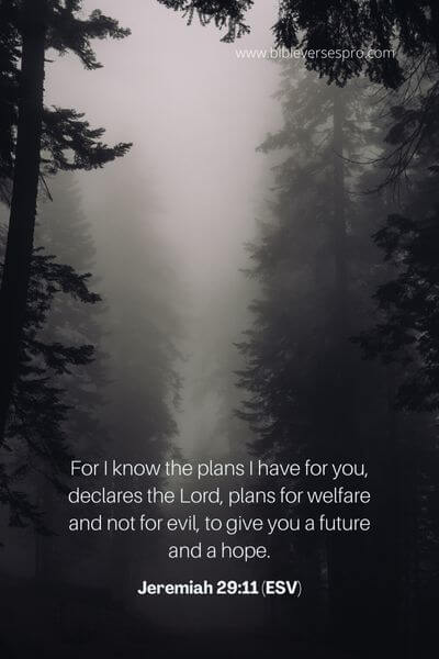 Jeremiah 29_11 (ESV) (1)