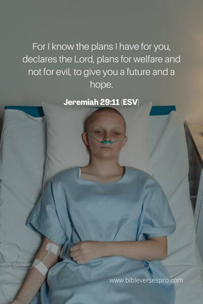 Jeremiah 29_11 (Esv)