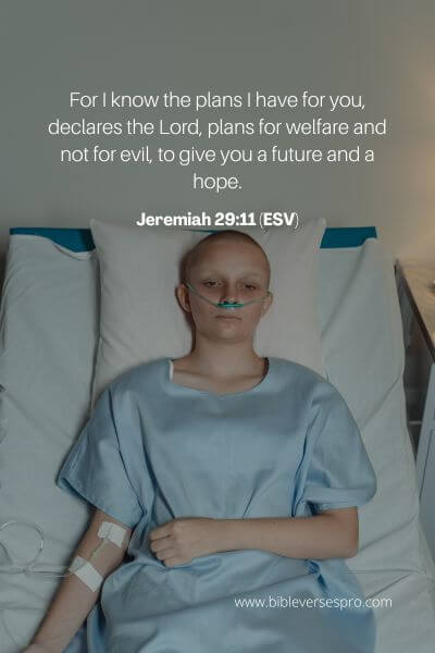 Jeremiah 29_11 (ESV)