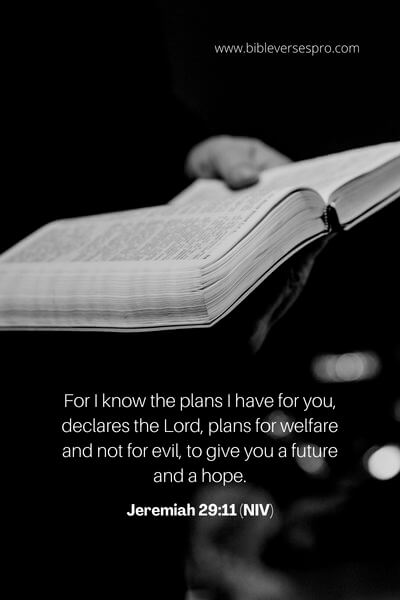 Jeremiah 29_11 (NIV)