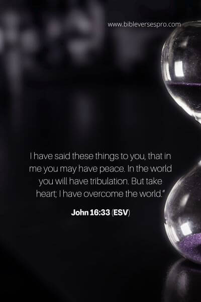 John 16_33 (Esv)