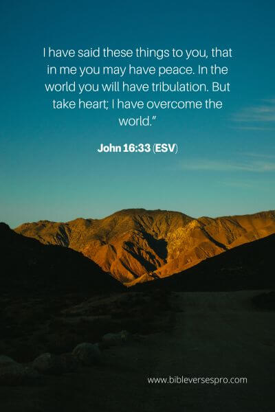 John 16_33 (ESV)
