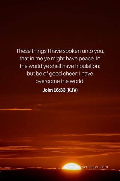 John 16_33 (Kjv)