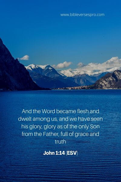 John 1_14 (Esv)