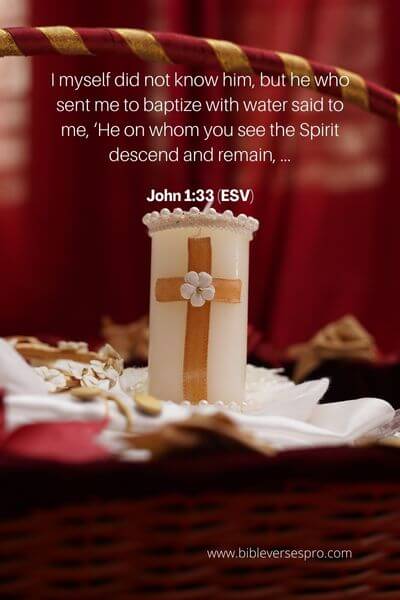 John 1_33 (ESV)