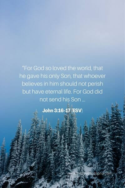 John 3_16-17 (Esv) 