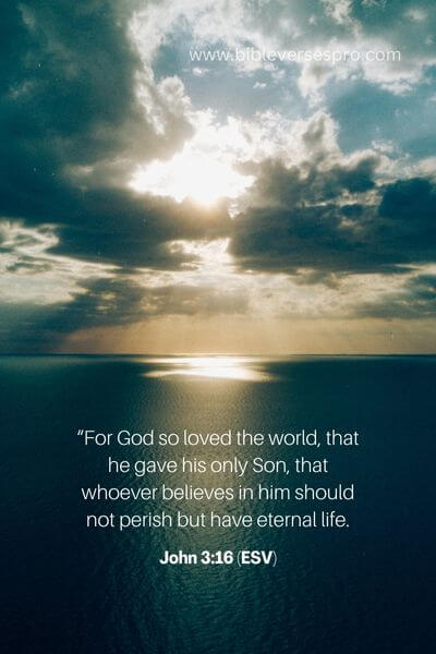 John 3_16 (Esv) (2)