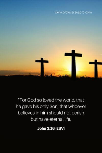 John 3_16 (ESV)