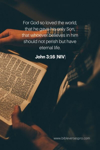 John 3_16 (Niv)