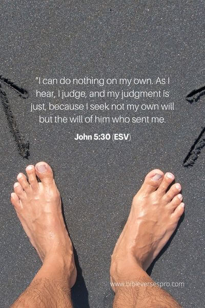 John 5_30 (Esv)