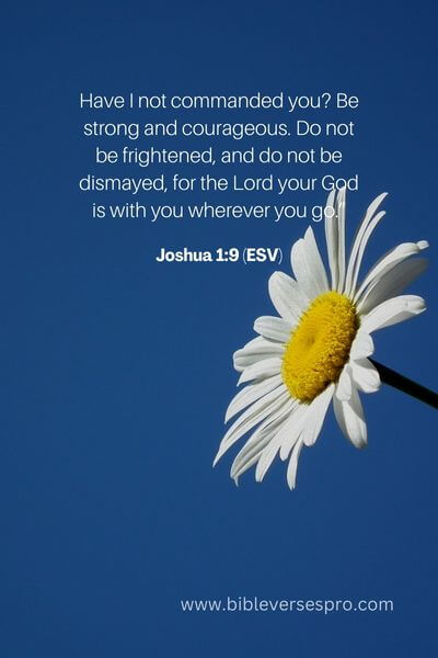 Joshua 1_9 (Esv)5_3 (Esv)